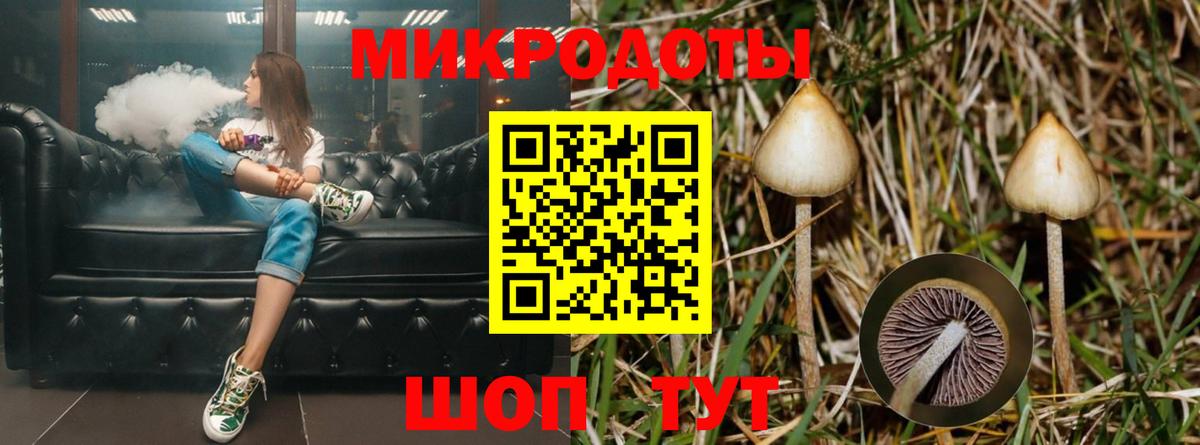 Галлюциногенные грибы Psilocybe  Вход с VPN  Ивантеевка  Галлюциногенные грибы Psilocybe 